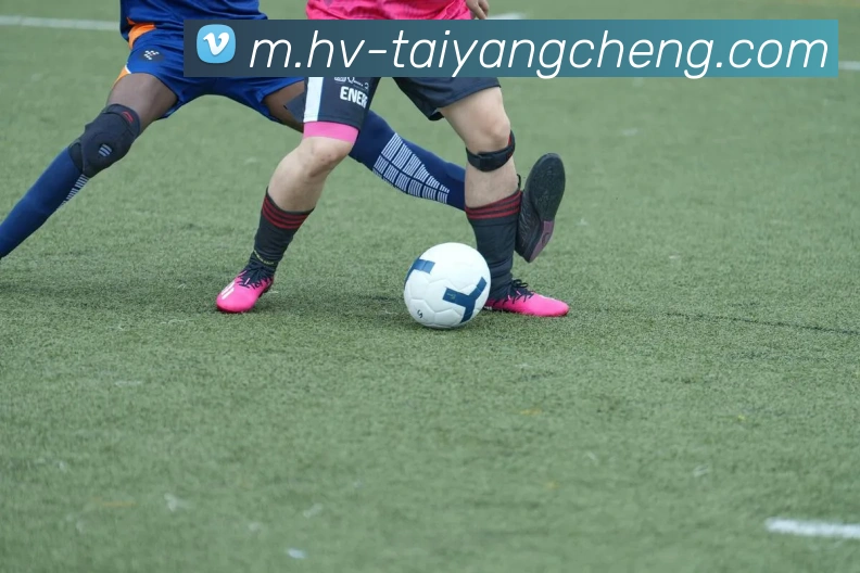 App Interface Preview