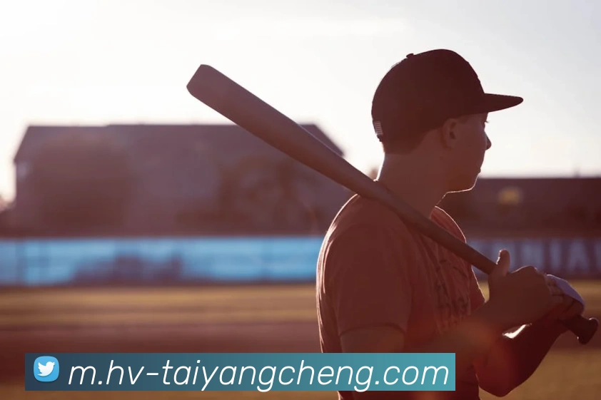 太阳城网站APP 封面图